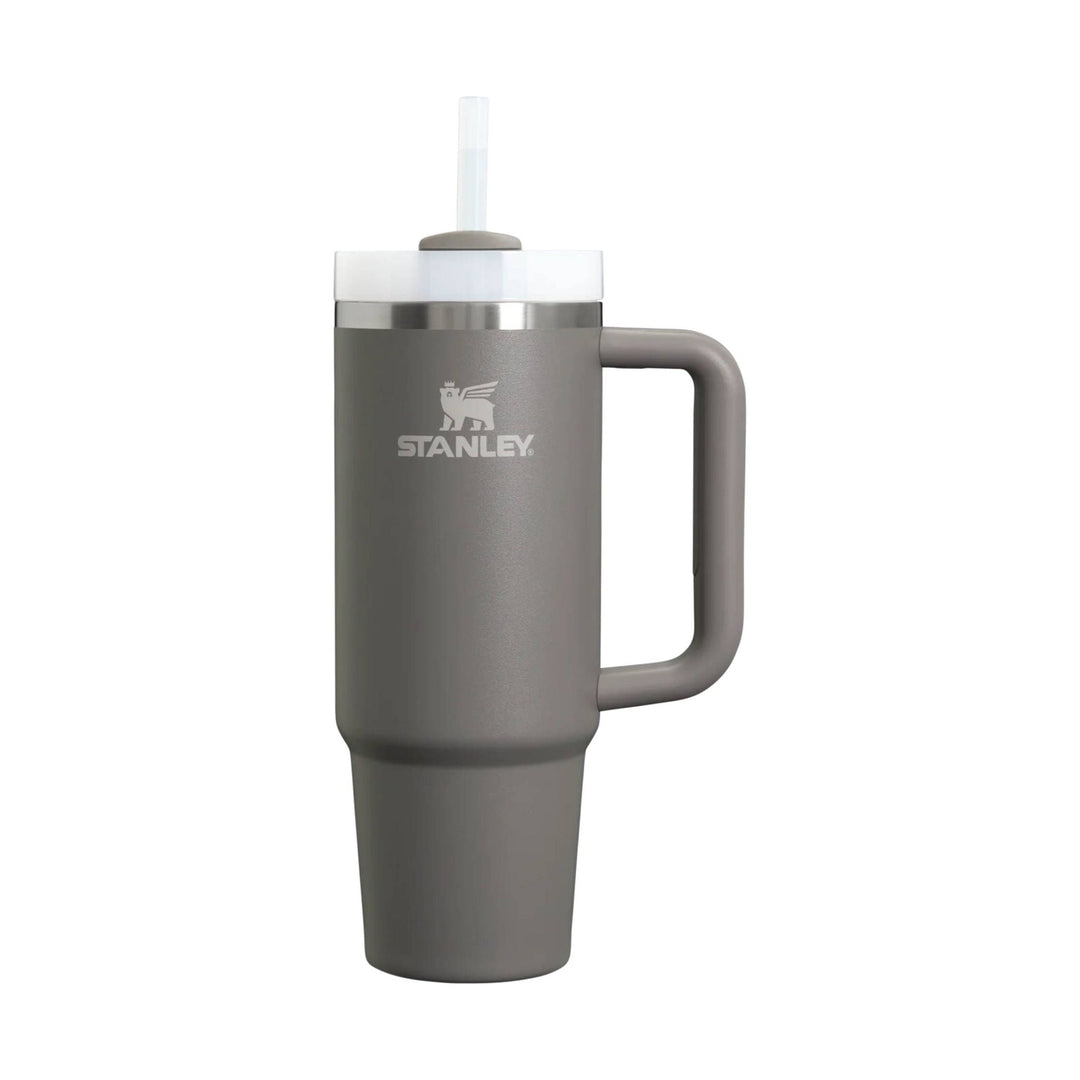 Gray insulated tumbler with handle, straw lid, and Stanley logo