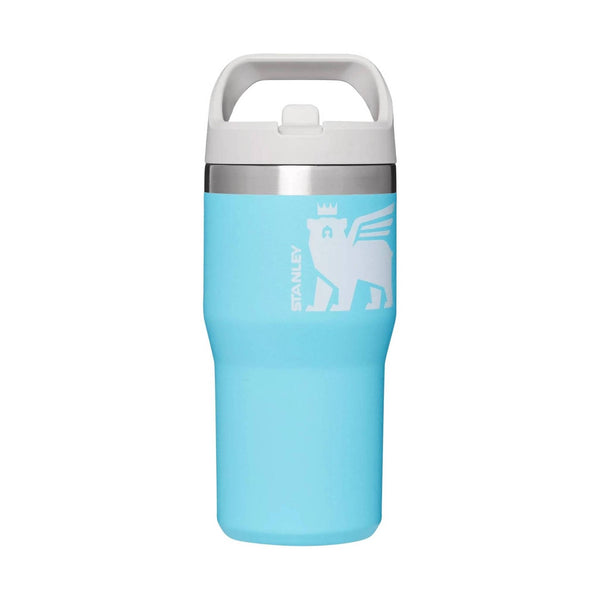 https://lennyshoe.com/cdn/shop/products/stanley-the-wild-imagination-iceflow-flip-straw-20-oz-pool-cub-755241_grande.jpg?v=1697470318