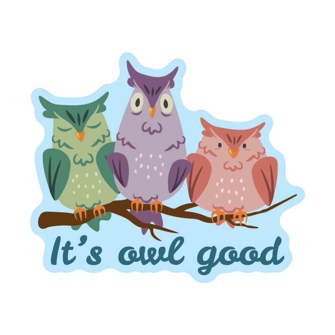 Three colorful owls perched on a branch with the text “It’s cool good”