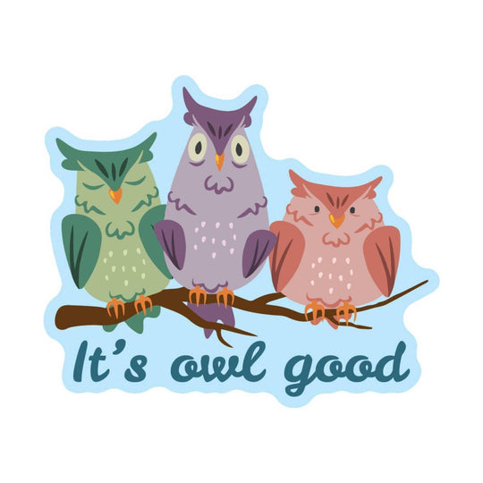 Three colorful owls perched on a branch with the text “It’s cool good”