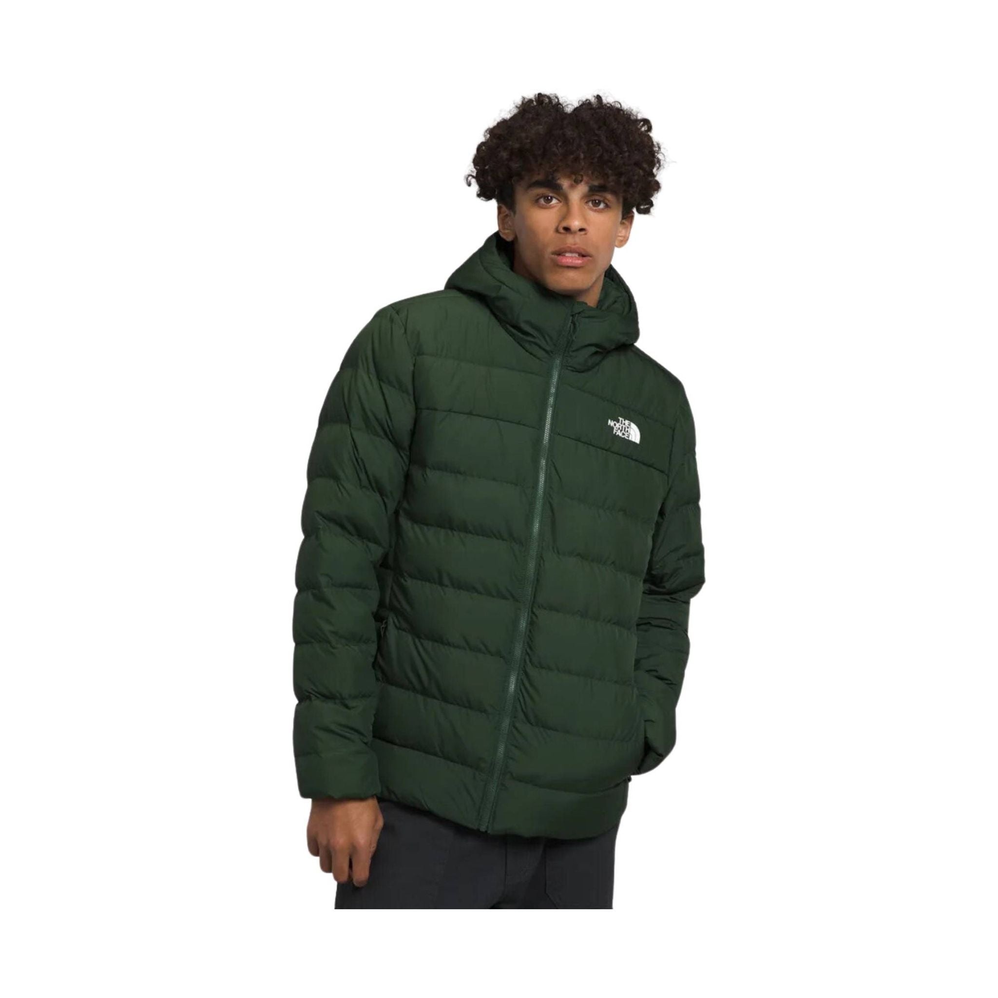 The North Face Men's Aconcagua 3 Hoodie Jacket - Pine Needle – Lenny's ...